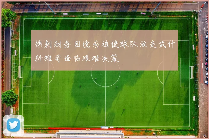 热刺财务困境或迫使球队放走武什科维奇面临艰难决策