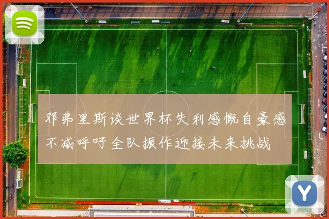 邓弗里斯谈世界杯失利感慨自豪感不减呼吁全队振作迎接未来挑战